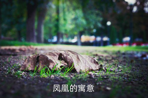 第八届小河凤彩 舞蹈,古人:盛世有凤凰飞祥意吉祥平安