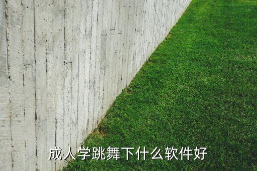 成人学跳舞下什么软件好