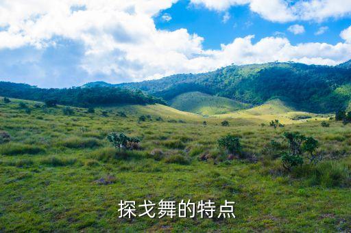 舞蹈 学探戈,探戈舞步有何特点?