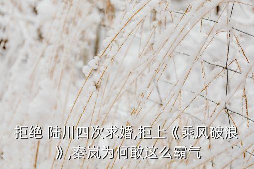 拒绝 陆川四次求婚,拒上《乘风破浪》,秦岚为何敢这么霸气