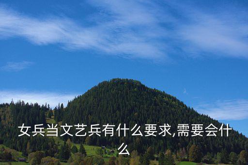  女兵当文艺兵有什么要求,需要会什么