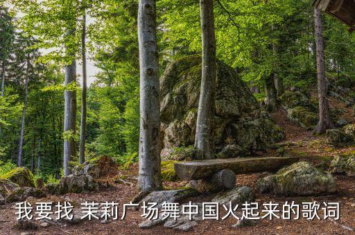 舞蹈茉莉开中国好舞蹈视频下载,《中国火了》不是茉莉广场舞