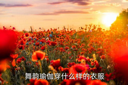  舞韵瑜伽穿什么样的衣服