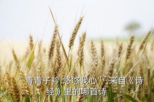 “ 青青子衿,悠悠我心”,来自《诗经》里的哪首诗