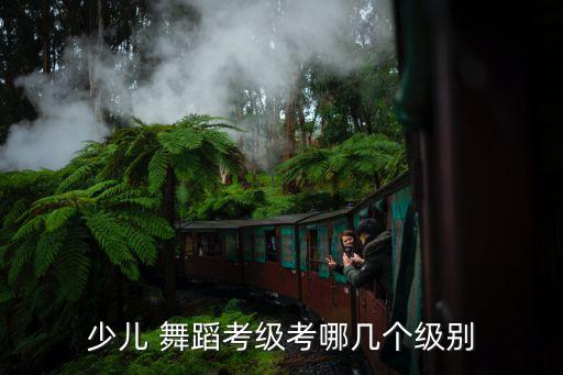 少儿 舞蹈考级考哪几个级别
