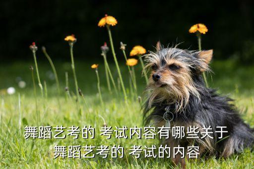 舞蹈考试成绩分析,首次举办舞蹈比赛我国男子水平发挥出色