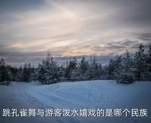 跳孔雀舞与游客泼水嬉戏的是哪个民族