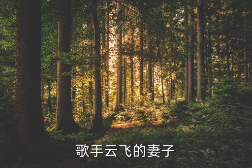 千古一醉舞蹈,中国男歌手云菲《云菲传奇》全球发行
