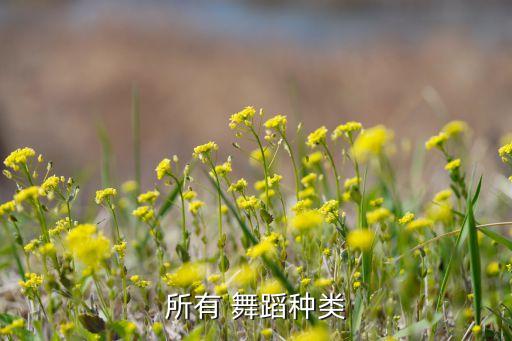 所有 舞蹈种类