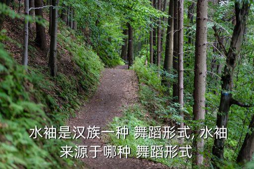  水袖是汉族一种 舞蹈形式, 水袖来源于哪种 舞蹈形式