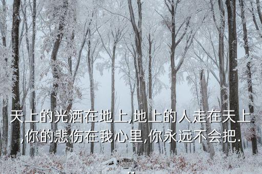 天上的光洒在地上,地上的人走在天上,你的悲伤在我心里,你永远不会把...