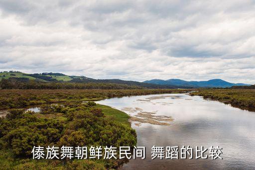 傣族舞朝鲜族民间 舞蹈的比较