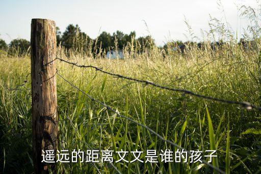 遥远的距离文文是谁的孩子
