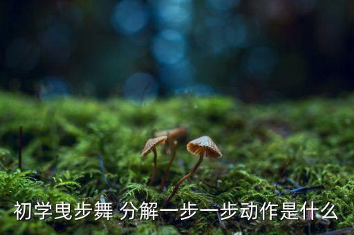 舞蹈初学者动作分解动作,这些东西要学!