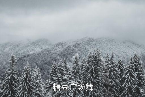  糖豆广场舞