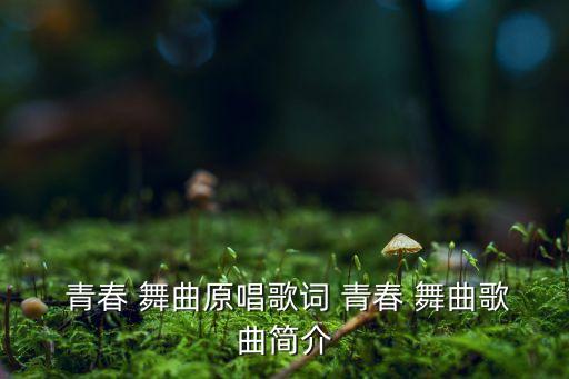  青春 舞曲原唱歌词 青春 舞曲歌曲简介