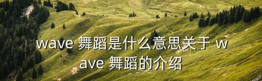  wave 舞蹈是什么意思关于 wave 舞蹈的介绍