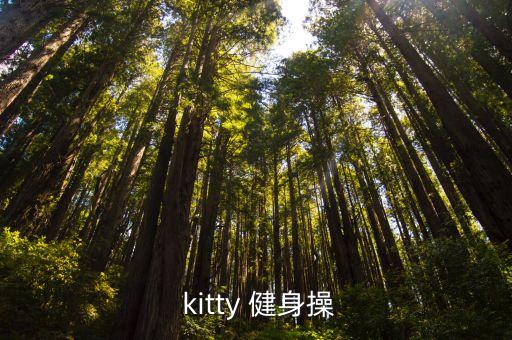kitty健身舞蹈视频下载,美国华尔街股市大幅下滑