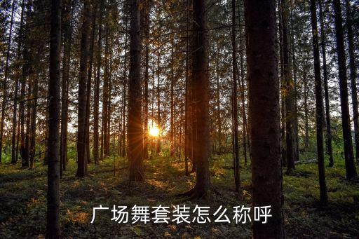  广场舞套装怎么称呼