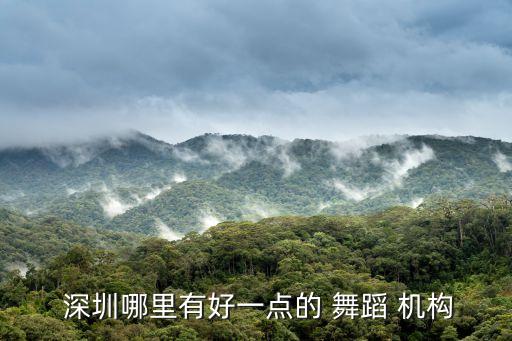  深圳哪里有好一点的 舞蹈 机构