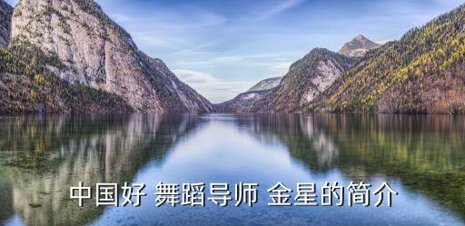中国好 舞蹈导师 金星的简介