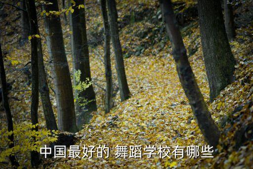 中国最好的 舞蹈学校有哪些