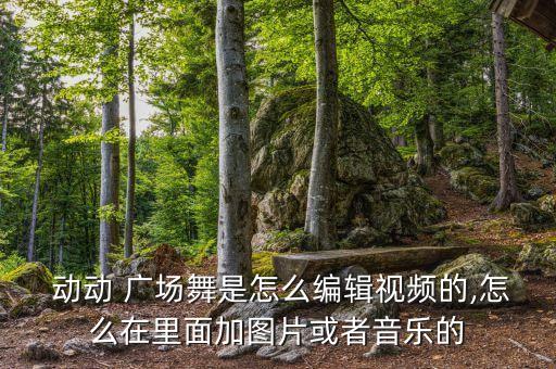  动动 广场舞是怎么编辑视频的,怎么在里面加图片或者音乐的
