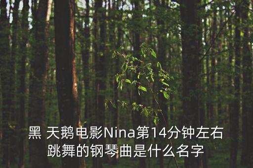 德国黑天鹅舞蹈,黑天鹅表演者:极端教育下的精神分裂