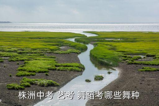 株洲中考 艺考 舞蹈考哪些舞种