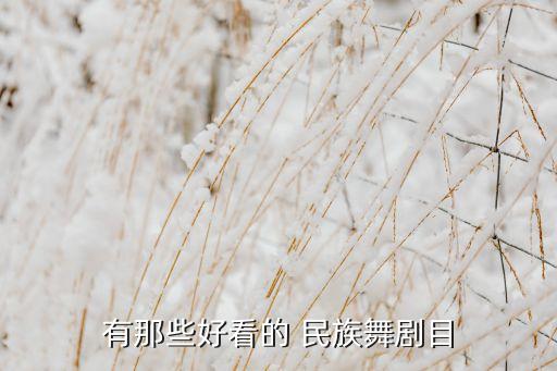 有那些好看的 民族舞剧目