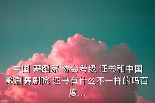 中国舞蹈协会证书内容,中国舞蹈考级证书国内认可程度最高