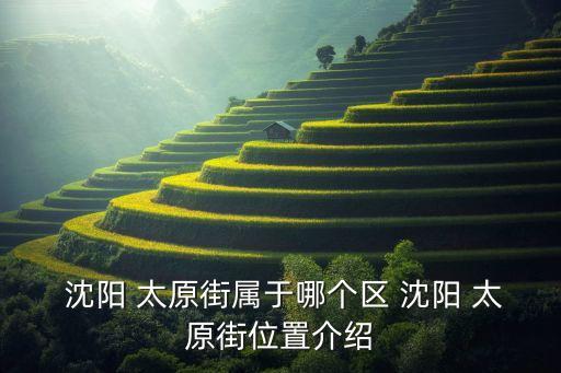  沈阳 太原街属于哪个区 沈阳 太原街位置介绍