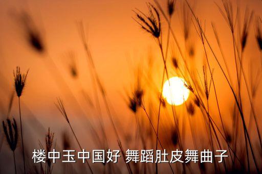 楼中玉中国好 舞蹈肚皮舞曲子