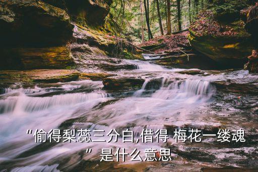 “偷得梨蕊三分白,借得 梅花一缕魂”是什么意思