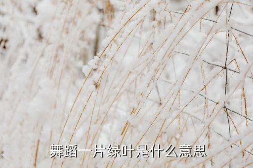  舞蹈一片绿叶是什么意思
