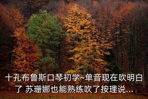 十孔布鲁斯口琴初学~单音现在吹明白了 苏珊娜也能熟练吹了按理说...