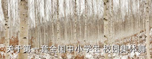 关于第一套全国中小学生 校园集体舞