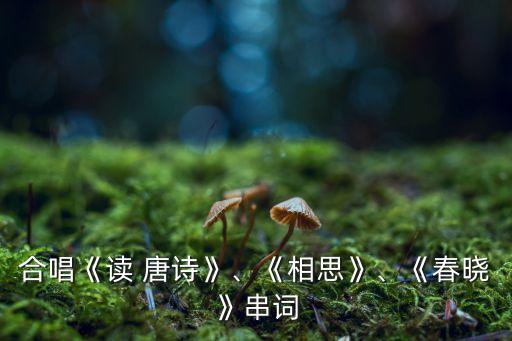 合唱《读 唐诗》、《相思》、《春晓》串词