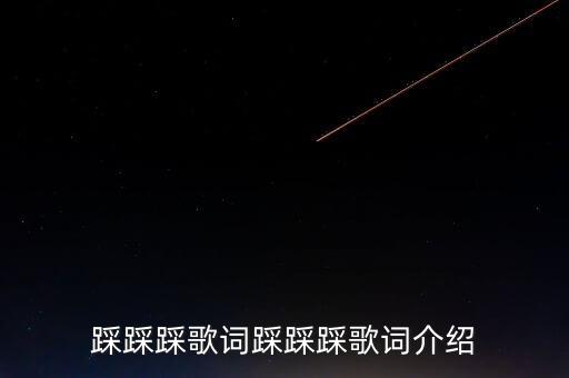 踩踩踩歌词踩踩踩歌词介绍
