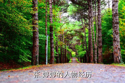 张 婷婷的人物经历
