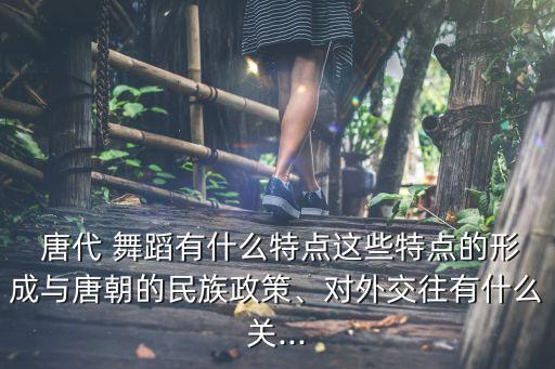  唐代 舞蹈有什么特点这些特点的形成与唐朝的民族政策、对外交往有什么关...