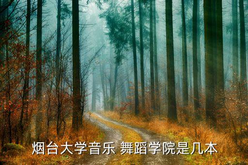  烟台大学音乐 舞蹈学院是几本