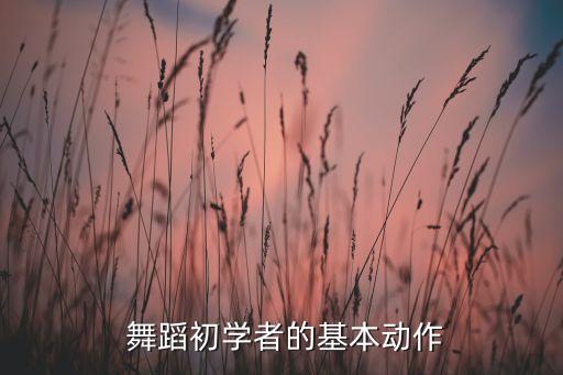  舞蹈初学者的基本动作