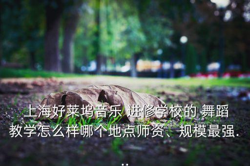  上海好莱坞音乐 进修学校的 舞蹈教学怎么样哪个地点师资、规模最强...