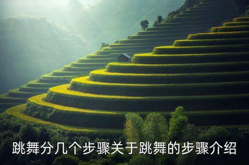 舞 舞舞蹈,第一集:舞蹈学堂（四）:舞者的心声