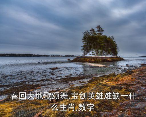  春回大地歌颂舞,宝剑英雄难缺一什么生肖,数字
