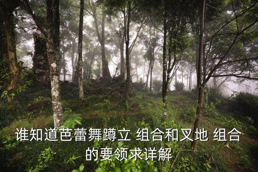 谁知道芭蕾舞蹲立 组合和叉地 组合的要领求详解