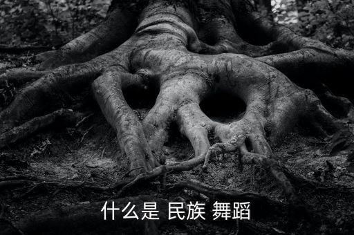 什么是 民族 舞蹈