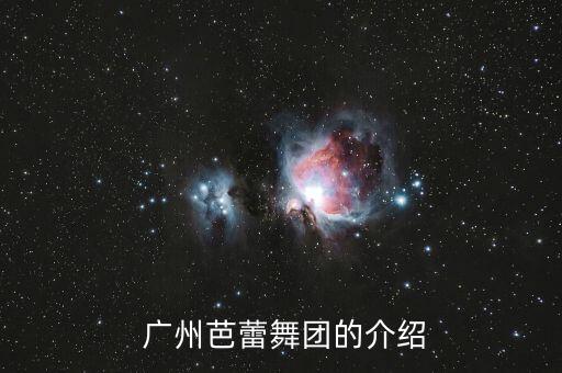  广州芭蕾舞团的介绍