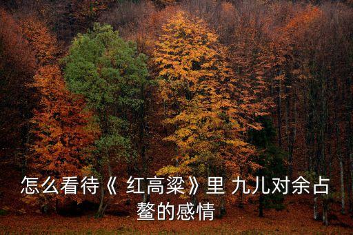怎么看待《 红高粱》里 九儿对余占鳌的感情